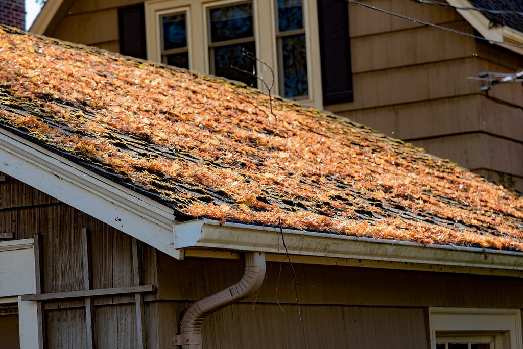 Shingle roof full of leaves because of the season